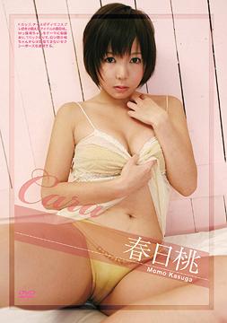 CARA 春日桃
詳しくはクリック!!