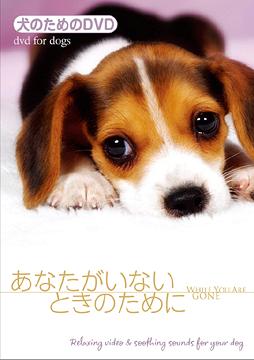 犬のためのDVD/あなたがいないときのために / 趣味教養