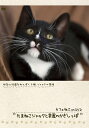 カフェねこonDVD たまねこジャックと幸運のかぎしっぽ / 趣味教養