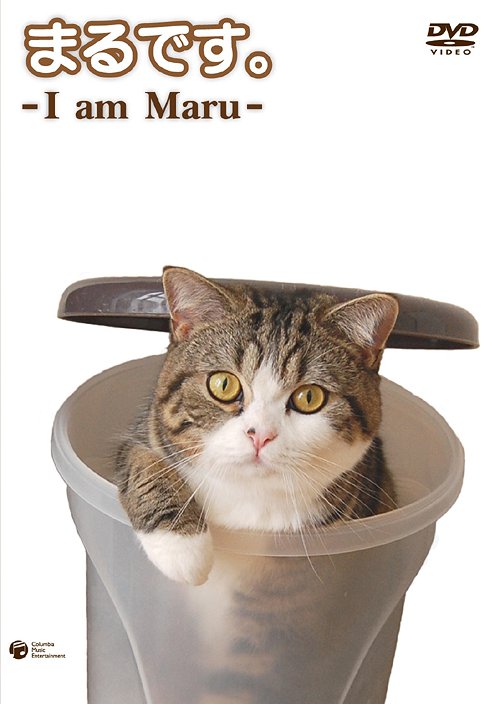 yIIz܂łB -I am Maru- / {
