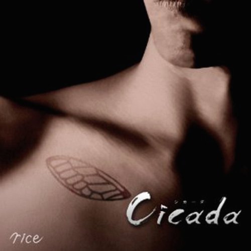 Cicada [通常盤] / rice