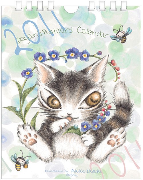 2011N B2TCY J_[ AC{[̑OB