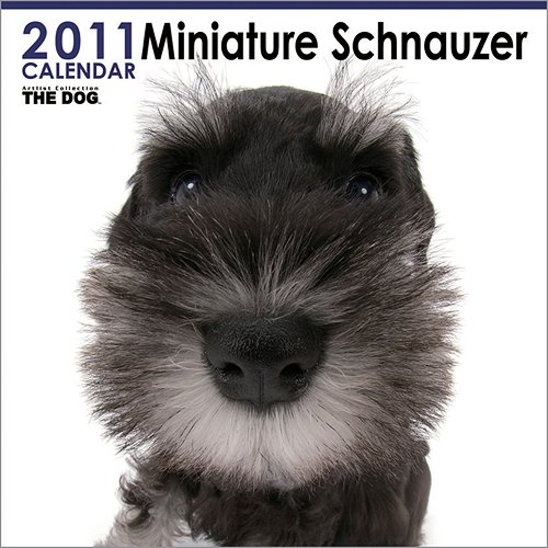 wXXIVׁIViIx_NiƂق񂫁jm(zj2011NxǊ|J_[̃N`R~B