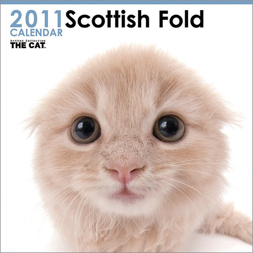 ~[KEtHbNX [A 2011NJ_[] / ~[KEtHbNX̐sB