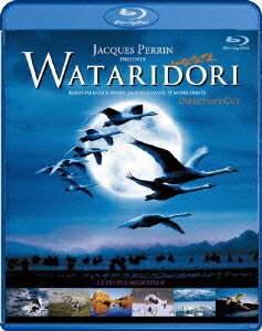 yIIzWATARIDORI fBN^[YEJbg -fW^EXgAEo[W- [Blu-ray] / m (hL^[)