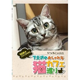 カフェねこonDVD 下北沢 おしゃれな猫カフェ巡り[DVD] / 趣味教養...:neowing-r:12071809