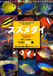 XY_C ЂƖڂœ킩}t XY_C200+cAAYAF̃oG[V (lC`[EHb`OKChubN)[{/G] (Ps{EbN) / /ʐ^E