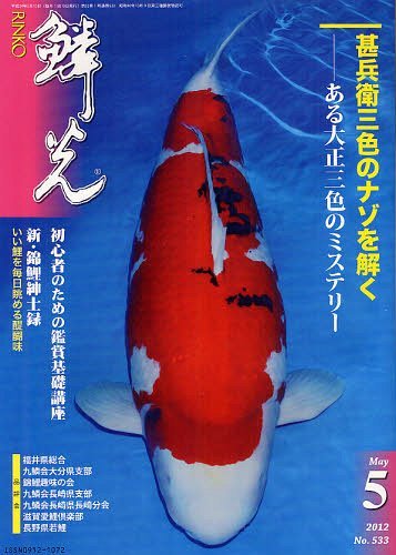 鱗光 2012-5 (単行本・ムック) / 新日本教育図書