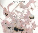 the dresscodes [DVD付初回限定盤