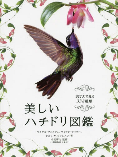 n`h} Ō338 / ^Cg:Hummingbirds[{/G] / }CPEtHOf/ }AEeC[/ VFEEBAX/ {PV/ďC