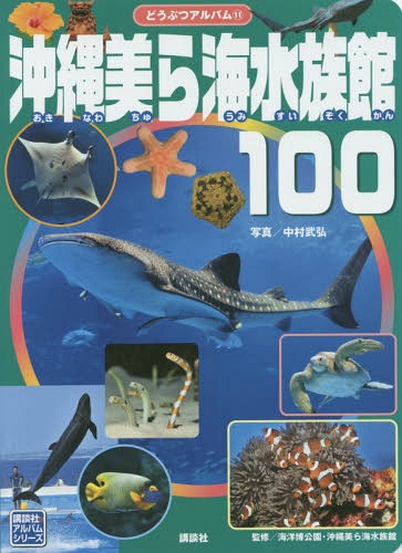 C100 (ukЂ̃AoV[Y ǂԂAo 11)[{/G] / O/ʐ^