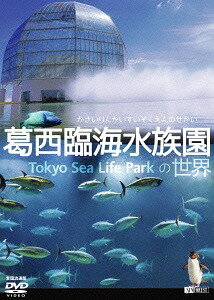 ՊC̐E[DVD] / {
