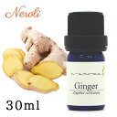 ジンジャー < 30ml > エッセンシャルオイル / 精油 / アロマオイル