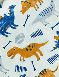 【コットン】タイムスリップダイナソー(抗菌防臭加工)