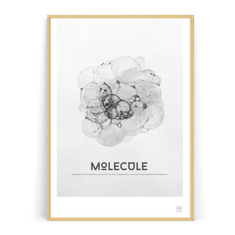 Wallstuff アートポスター MOLECULE モノクロ ウォールスタッフ　北欧 スウェーデン