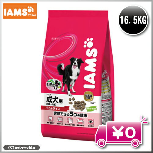 IAMS　アイムス　成犬用　ラム＆ライス　16.5kg　ブリーダー推奨特別パック