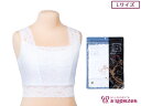 あづま姿 下着 ノーブルLINE和装ブラジャーL No.561【q新品】