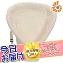 【新ロゴ】今日お届け★代引・送料無料★エルゴベビー インファントインサート (ナチュラル) エルゴベビー ergobaby【あす楽対応】【RCP】