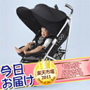 今日お届け★代引・送料無料★レイフリーライトティーレックス T-RexUVカット サンシェード ベビーカーオプション【あす楽対応】【HLS_DU】