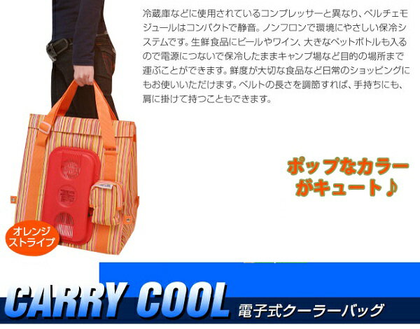 ǯޤޤȤ뤱ɡǯϤʤѤޤ󡣡ڲʪʬòۡ80OFFۡإǥХ롦顼Хå꡼