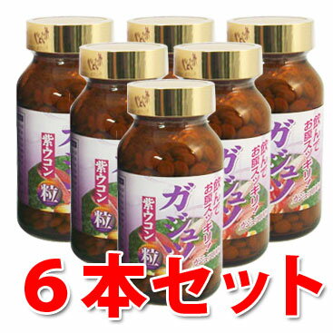 【送料無料】ガジュツ粒 100g×6本セット