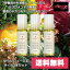 ルベル ヴィージェ オイル 3本セット / 90mL×3