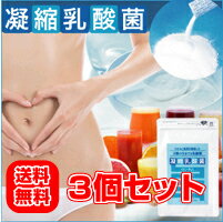 詰まり知らずの強い味方♪わかもと製薬が厳選した3種の生きた乳酸菌。【凝縮乳酸菌 3個セット】【乳酸菌/送料無料/ダイエット/わかもと/わかもと製薬】