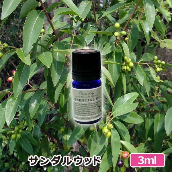 アロマオイル(サンダルウッド スポイト付き)3ml(エッセンシャルオイル)(内祝い 結婚内…...:newcomer:10165684