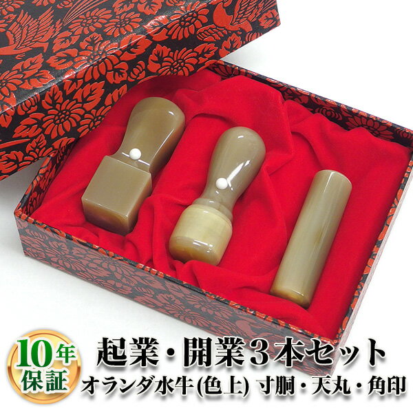 【送料無料】【法人印鑑】法人3本Aセット オランダ水牛[牛角・色上] [寸胴18.0mm/天丸18....:newhankodehanko:10005317