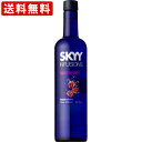 オススメ ギフト 酒 送料無料(RCP) スカイ インフュージョンズ ラズベリー 700ml (北海道・沖縄+890円)