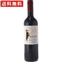 送料無料(RCP) デルスール カベルネソーヴィニヨン 赤 750ml (北海道・沖縄+890円)(取寄7〜10日かかる場合がございます)