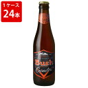 ショッピングビール ケース販売　海外ビール 輸入ビール ブッシュアンバー　330ml　瓶（1ケース/24本）