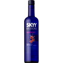 オススメ ギフト 酒 スカイ インフュージョンズ ラズベリー 700ml