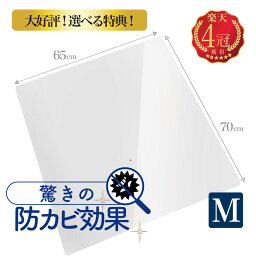 【楽天1位4冠】《選べる特典キャンペーン中》冷蔵庫マット [正規品] 透明 クリア キズ 凹み 防止 防カビ加工 ポリカーボネート 冷蔵庫マット極 iHouse all 65×70cm 厚み 2mm 500Lクラス 1年保証 あす楽 送料無料 床 保護 　プラスチック パネル シート ハード