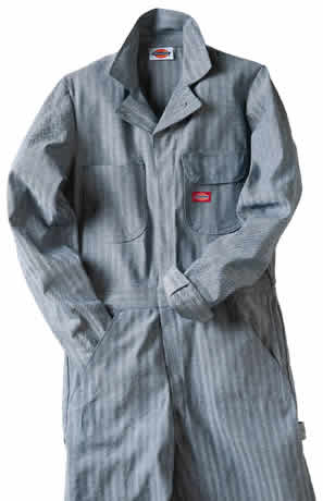 Dickies ǥå եå㡼ȥ饤ץС