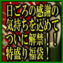 大人気企画!福袋第2弾!NF カー用品特盛り福袋 <梅>5555円