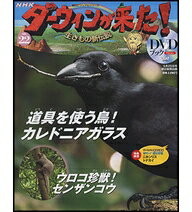 【正規品】DVD-BOOK ダーウィンが来た！ 生きもの新伝説 22号　（kw：ダ-ウィンが来た ダ-ウィンがきた）