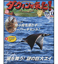 【正規品】DVD-BOOK ダーウィンが来た！ 生きもの新伝説 44号