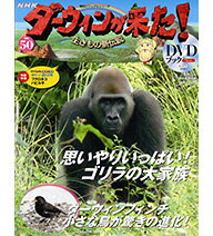 【正規品】DVD-BOOK ダーウィンが来た！ 生きもの新伝説 50号　200回近くの放送の中から、人気の高かったものを厳選してお届けします。BOOK部分ではそれぞれの動物について詳しく解説するほか、撮影裏話等を掲載。