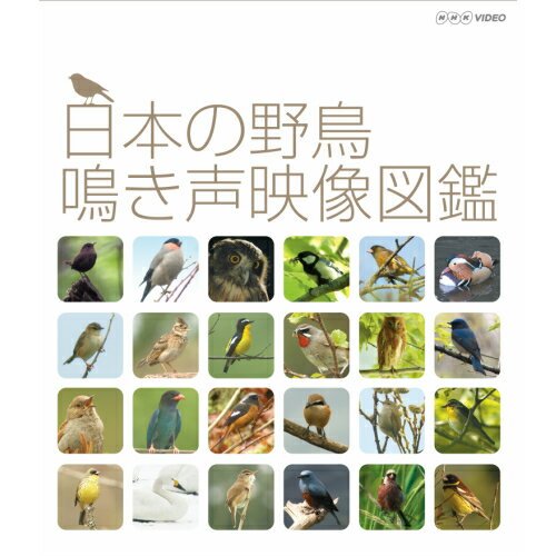 日本の野鳥 鳴き声映像図鑑　ブルーレイ...:nhkgoods:10027802