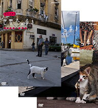 岩合光昭の世界ネコ歩き 第2弾 DVD 全3枚セット動物カメラマン・岩合光昭さんがかわいい…...:nhksquare:10000001