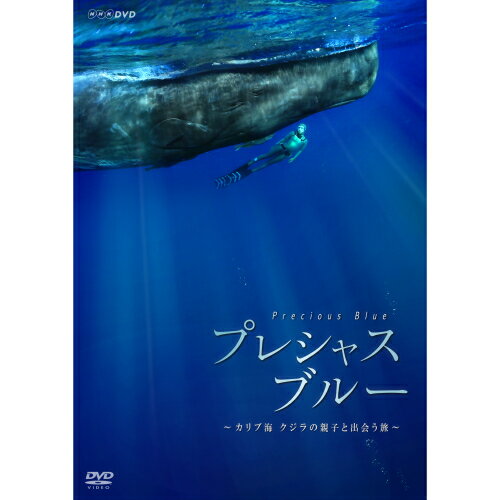 プレシャス・ブルー カリブ海・クジラの親子と出会う旅 DVD...:nhksquare:10014552