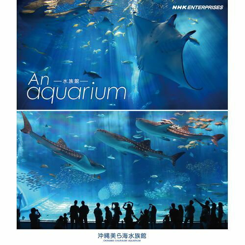 水族館 —An Aquarium　〜沖縄美ら海水族館〜 ブルーレイ...:nhksquare:10014370