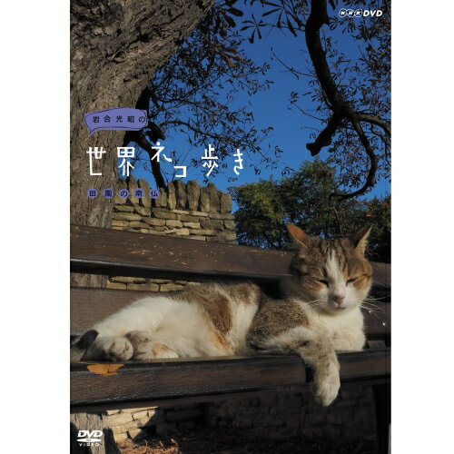 岩合光昭の世界ネコ歩き　田園の南仏 DVD...:nhksquare:10013813