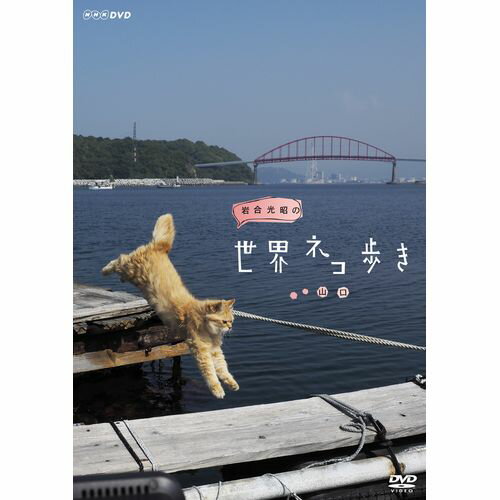 岩合光昭の世界ネコ歩き　山口 DVD...:nhksquare:10015818