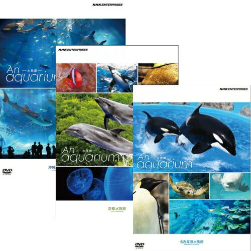 水族館−An Aquarium 沖縄・京都・名古屋港 全3枚セット DVD...:nhksquare:10016328