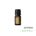 【期限間近】ドテラ doTERRA カルダモン 5ml アロマオイル エッセンシャルオイル 精油【使用期限:2020年09月】