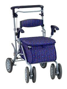 ƤU緿ȴǥ奪DXP֥롼1001_point_west2