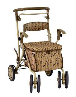 ƤU緿ȴǥ奪DXP֥饦1001_point_west2