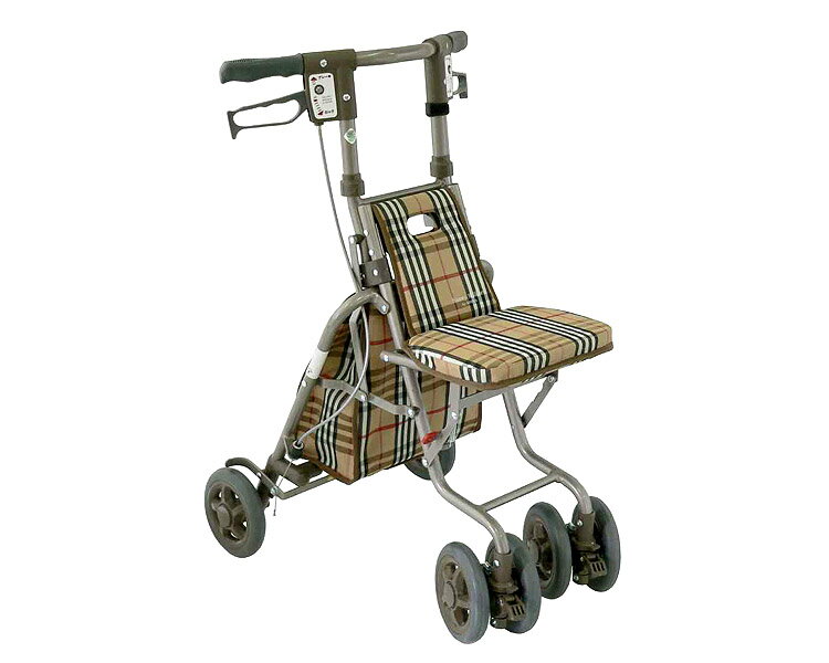 䤹⤭䤹СˡSPʻBR1001_point_west2